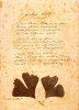 Файл : goethe_43b.jpg
Размер файла: 102KB
Размеры : 546x750
Дата добавления : May 08, 2009 goethe_43b.jpg